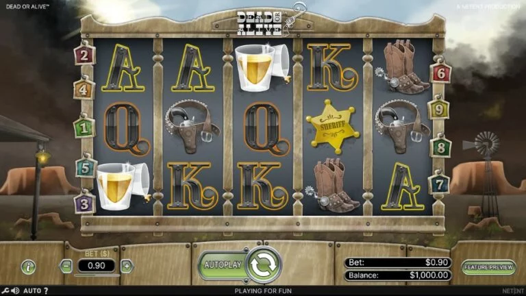 Immagine della slot Dead or Alive